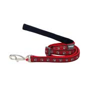 Collars & Harnesses