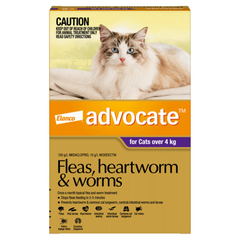 ADVOCATE Large Cat Purple