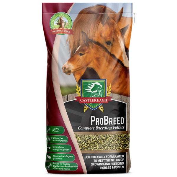 Castlereagh Probreed