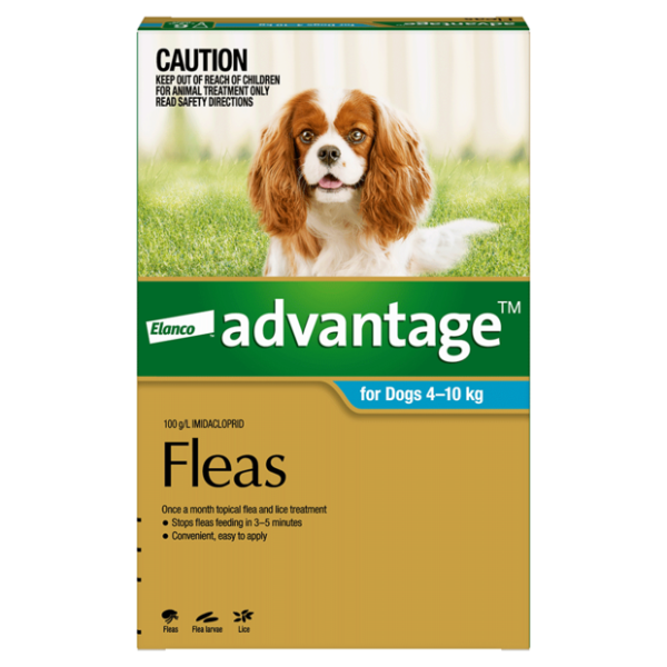 Advantage Medium Dog Aqua