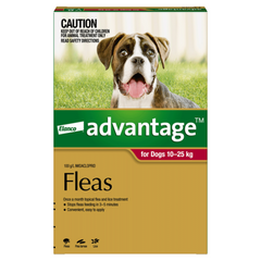 Advantage Large Dog Flea Treatment