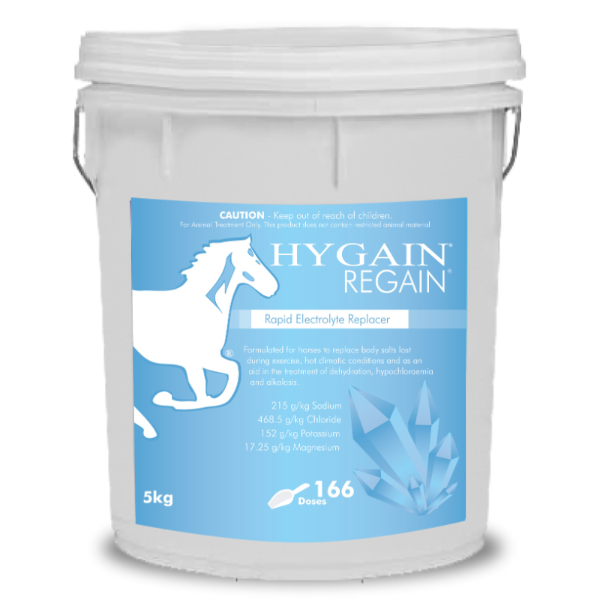 Hygain Regain: Essential Electrolyte Replenishment for Horses