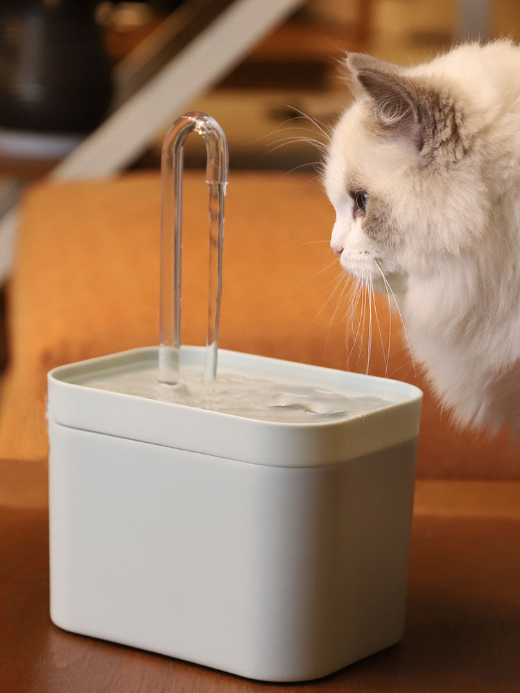 Cat Water Fountain – Auto Filter- Silent Pump,