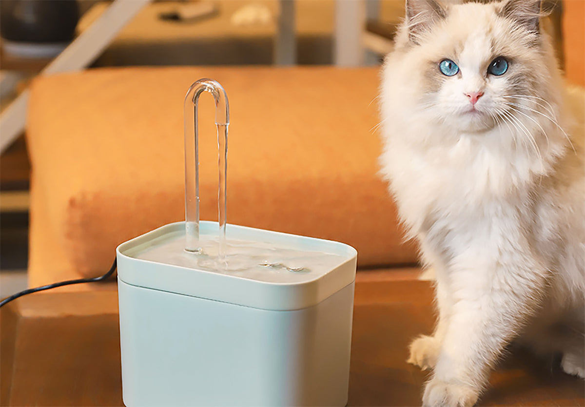 Cat Water Fountain – Auto Filter- Silent Pump,