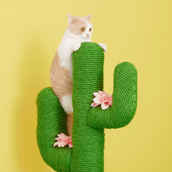 VETRESKA Cat Scratching Tree Cactus Mini