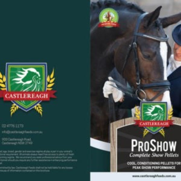 Castlereagh Proshow