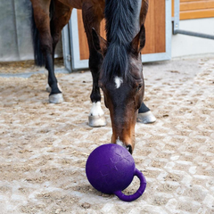 Equine Play Ball: Ultimate Boredom Breaker Toy for Horses