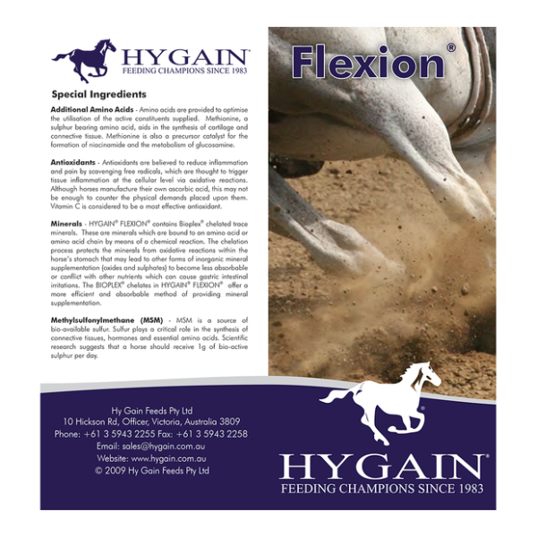 Hygain Flexion: Advanced Joint Support for Horses