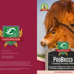 Castlereagh Probreed