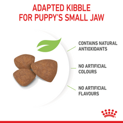 Royal Canin Mini Puppy Dry Dog Food