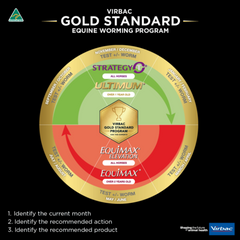 Equimax Wormer Paste: Parasite Protection