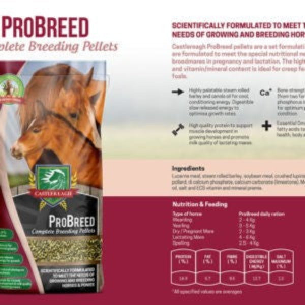 Castlereagh Probreed