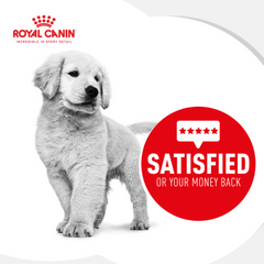 Royal Canin Medium Puppy Dry Dog Food