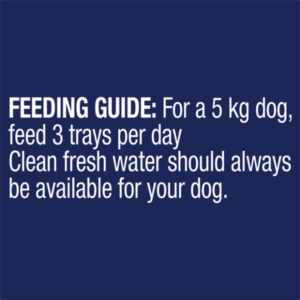 ADVANCE Adult Single Serve Turkey Wet Dog Food Trays