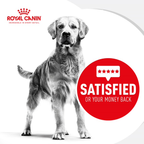 Royal Canin Mini Adult  Dry Dog Food