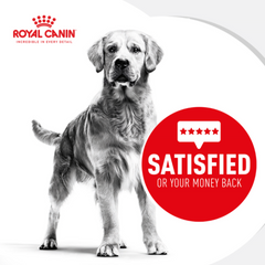 Royal Canin Mini Adult  Dry Dog Food