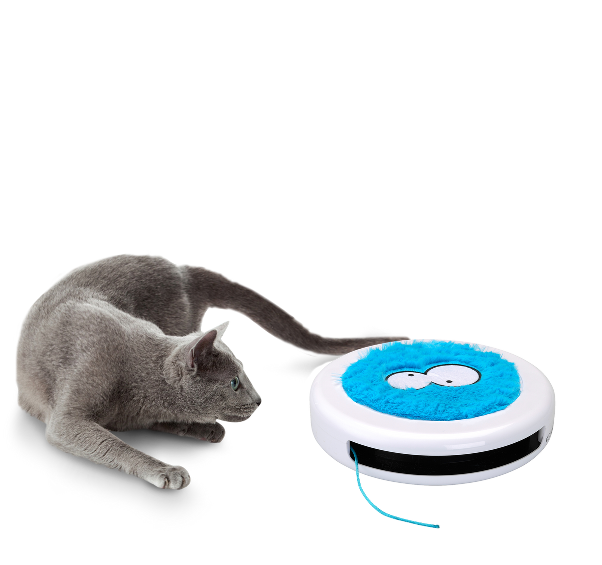 Coockoo Sling 360 Cat Activity Toy Blue (24x24cm)