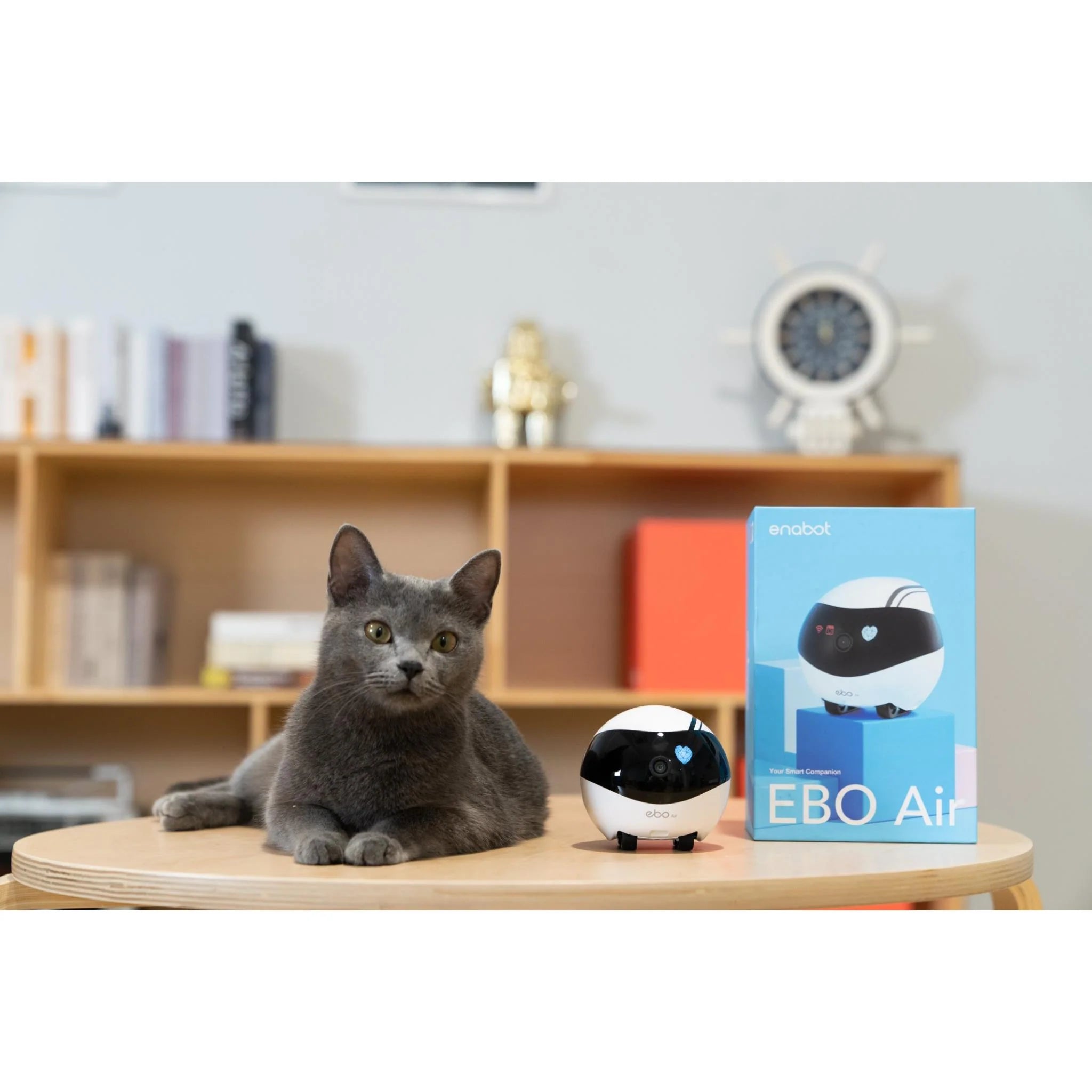 Enabot Ebo-Air Interactive Pet Companion