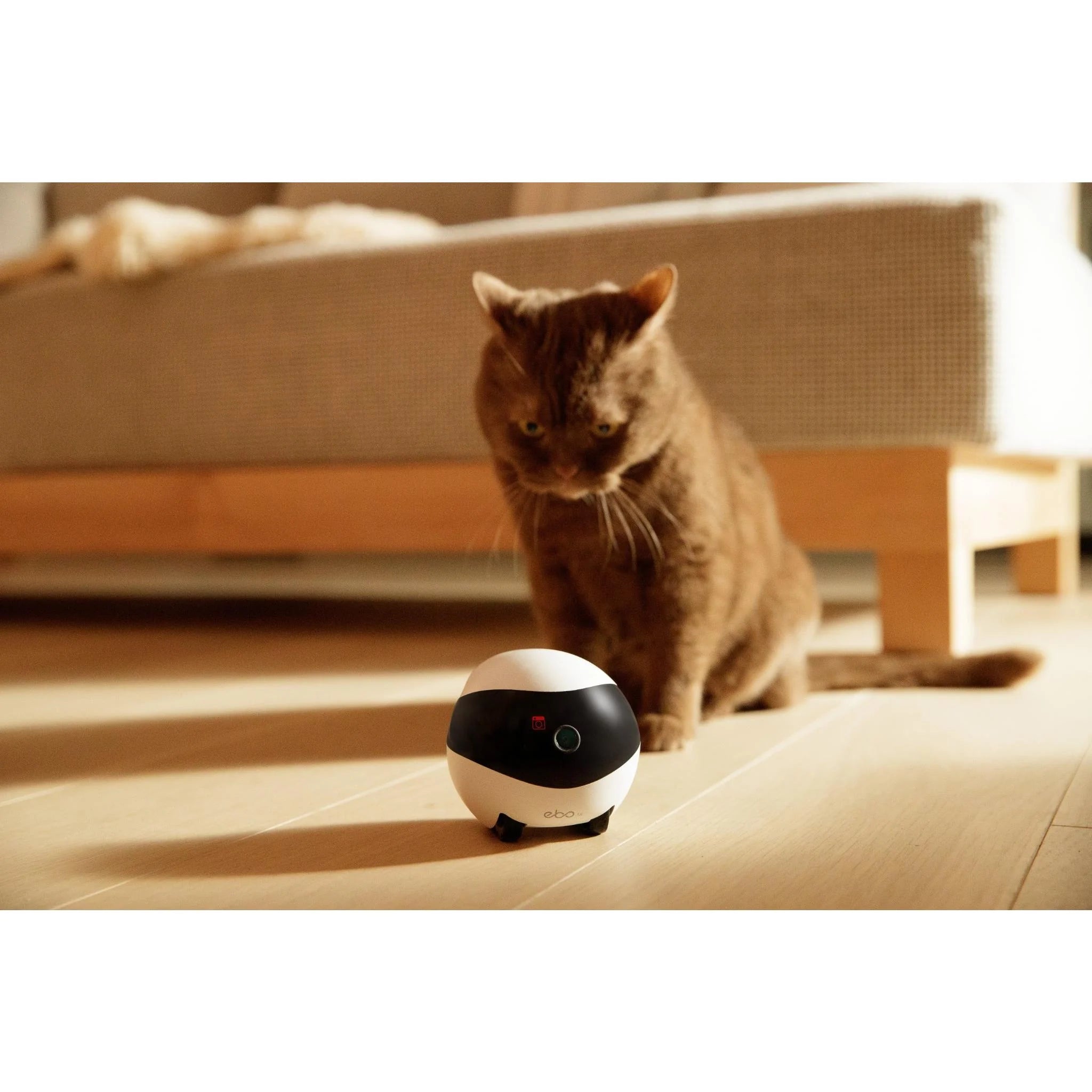 Enabot Ebo-Air Interactive Pet Companion