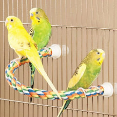 Multi-Color Parrot Perch