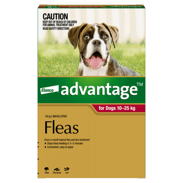 Advantage Large Dog Flea Treatment - Furbabies Online