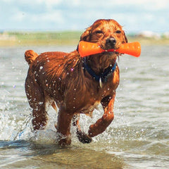 Bionic Dog Toys - Furbabies Online