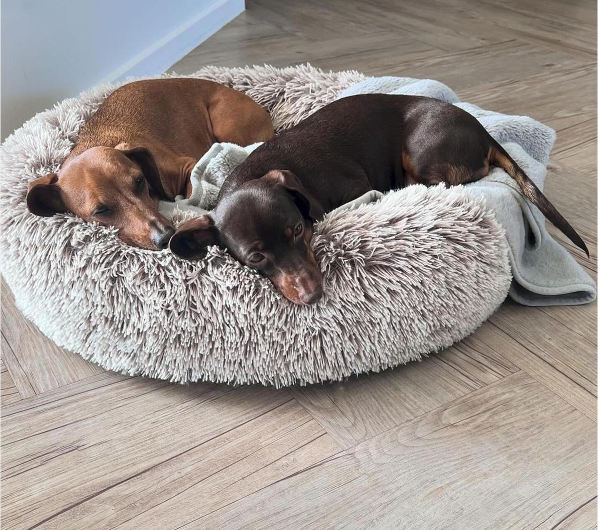 Furbabies Calm Haven Pet Bed™ – Relieve Anxiety & Stress in Ultimate Comfort