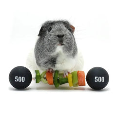 HAYPIGS PIGGY WEIGHTLIFTER VEGETABLE KEBAB MAKER - Furbabies Online