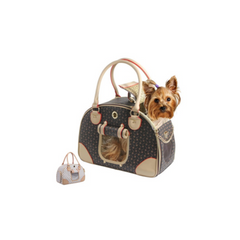 Travel Mesh Tote Pet Carrier