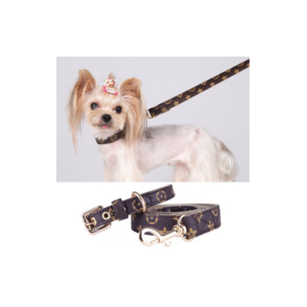 Designer Leather Dog Collar & Leash