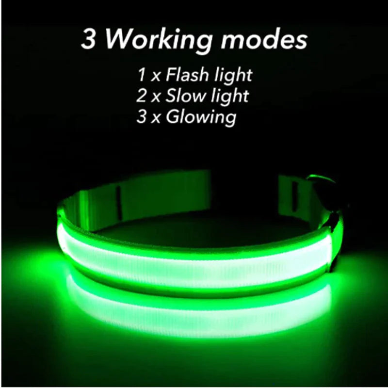 LED Adjustable Dog Collar Blinking Flashing Light Up Glow Pets Safety Waterproof