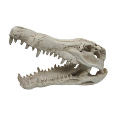 URS CROC SKULL MED 25X11.5X15.5CM - Furbabies Online